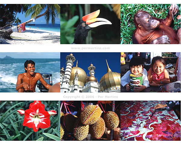 Resef�redrag om Malaysia, Singapore & Borneo